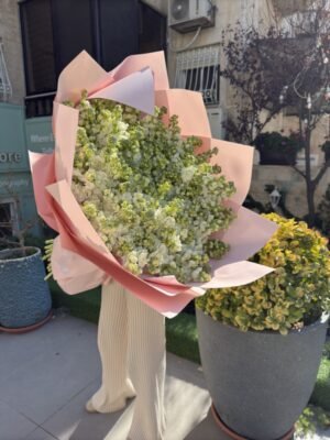 Bouquet 23 (50 Mentor)