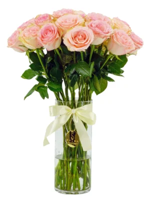 Baby Peach Rose Vase by Salma Flowers – Same-day delivery in Amman