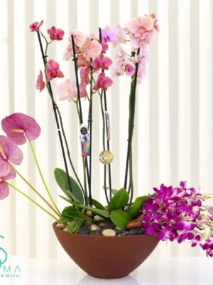 Orchid and Anthurium arrangement in a modern pot – Salma Flowers