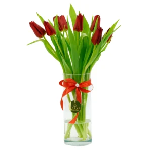 Red Tulip Vase by Salma Flowers – Same-day delivery in Amman