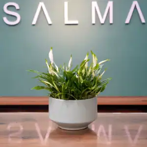 Peace Lily - Luxury Flowers Arrangement