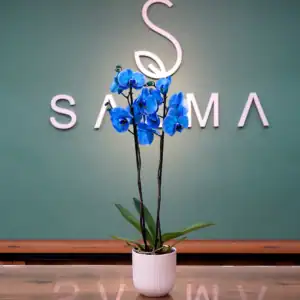 Visiting a Friend - Premium Flowers and Gifts Amman