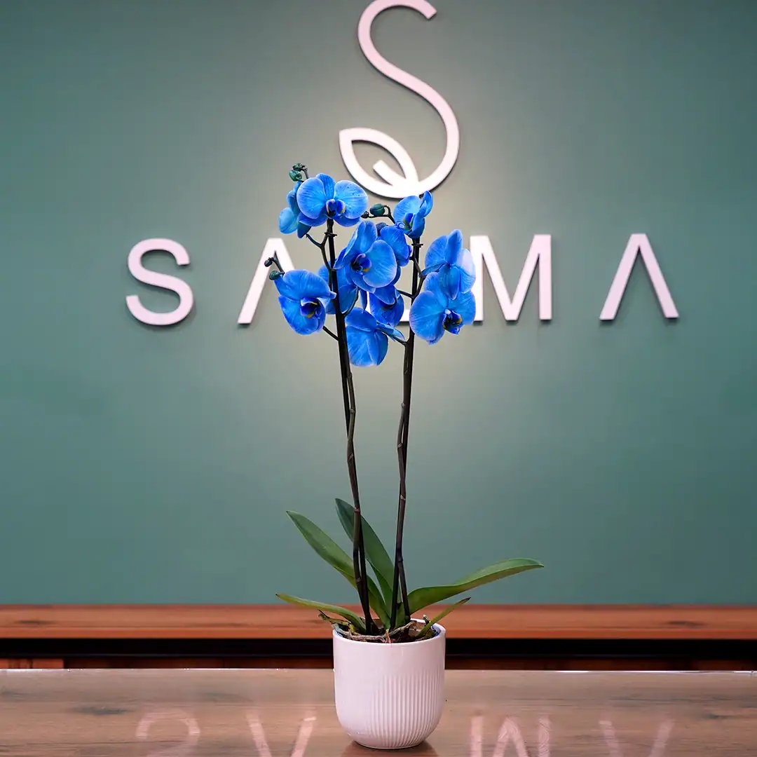 Visiting a Friend - Premium Flowers and Gifts Amman