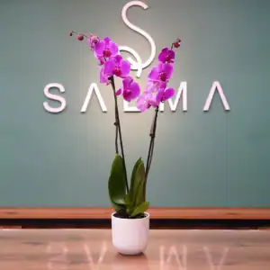 Pink Orchid - Luxury Flowers Arrangement