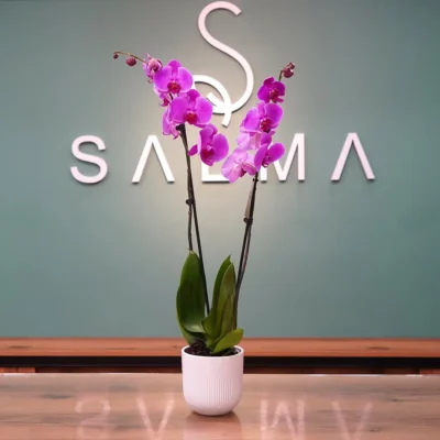 Pink Orchid