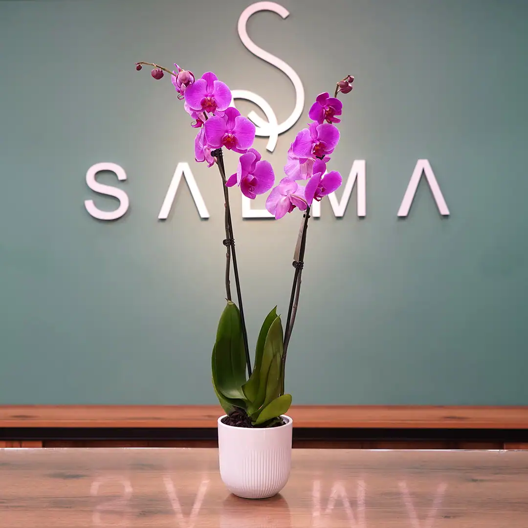 Pink Orchid - Luxury Flowers Arrangement
