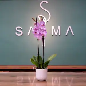 Carnation Orchid - Luxury Flowers Arrangement